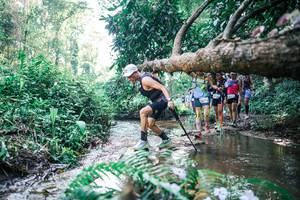 BIB: 
                            <button type="button" onclick="openModal(25448845)" class="btn btn-primary btn-sm float-right btn-popup" data-toggle="modal" data-target=".modal-high-quality">
                        <i class="fas fa-shopping-cart"></i> Add to Cart
                    </button>
                                            <button type="button" onclick="isThisMe(25448845, true)" class="btn btn-success btn-sm float-right btn-popup btn-isme hidden" data-toggle="tooltip" data-placement="bottom" title="นี่คือรูปของคุณใช่ไหม คลิกที่นี่เพื่อเอาเข้าอัลบั้ม">
                        <i class="fas fa-plus"></i> Add to album
                    </button>
                    <button type="button" onclick="isThisMe(25448845, false)" class="btn btn-warning btn-sm float-right btn-popup btn-isnotme hidden">
                        <i class="fas fa-ban"></i> Remove from album
                    </button>